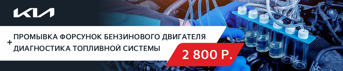 Промывка форсунок бензинового двигателя за 2 800 р. 